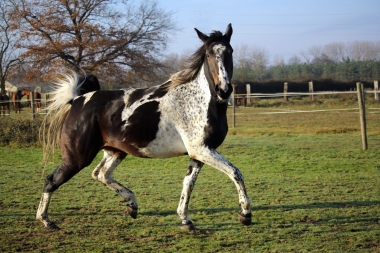 Vision D&eacute;cembre 2015 et en 2016