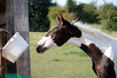 H&eacute;lios, 14 et 16 Ao&ucirc;t 2017