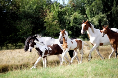 H&eacute;lios, 14 et 16 Ao&ucirc;t 2017