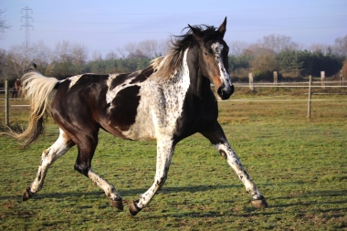 Vision D&eacute;cembre 2015 et en 2016