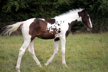 H&eacute;lios, 14 et 16 Ao&ucirc;t 2017