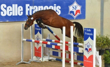 Cent pour Cent HE par Favoritas/ Coll Priv&eacute;