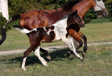 Vision &agrave; 2 mois