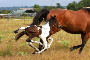 Vision 2009, naissance &agrave; 3 semaines