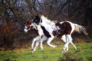 H&eacute;lios bient&ocirc;t 8 mois, D&eacute;cembre 2017