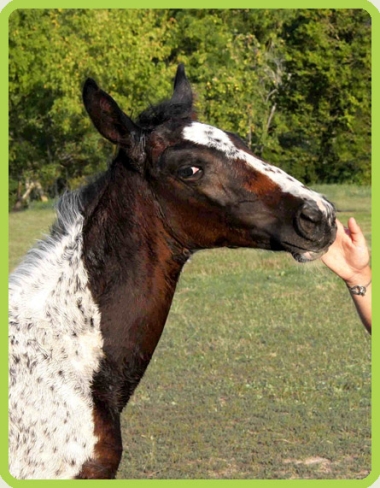 Vision &agrave; 2 mois