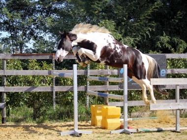 <b>H&eacute;lios, 4 ans, octobre 2021</b>                                                