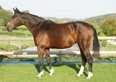 Lulu 24 m&egrave;re de Saga de Pl&eacute;ville