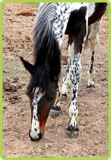 Vision &agrave; 10 mois