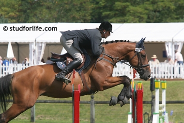 Ph&eacute;nix Kervec