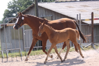 Donald &agrave; 3 mois