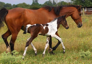 Vision 2009, naissance &agrave; 3 semaines