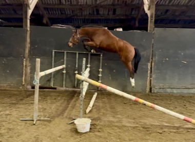 Merlin Ste Hermelle SF