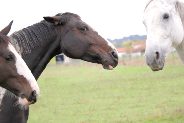 Vision D&eacute;cembre 2015 et en 2016