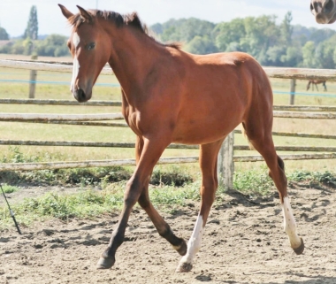 <b>coll priv&eacute;</b>                 