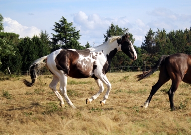 <b>H&eacute;lios, 2 ans, ao&ucirc;t 2019</b>                                                               