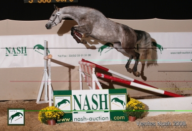 R&eacute;jane de la luth SF