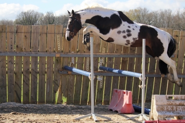 <b>James Bond &agrave; 4 ans, 2023</b>     