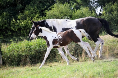 H&eacute;lios, 14 et 16 Ao&ucirc;t 2017