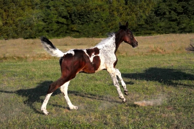 Vision &agrave; 2 mois