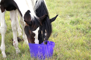 H&eacute;lios, 14 et 16 Ao&ucirc;t 2017