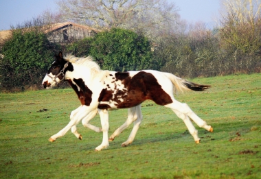 H&eacute;lios bient&ocirc;t 8 mois, D&eacute;cembre 2017