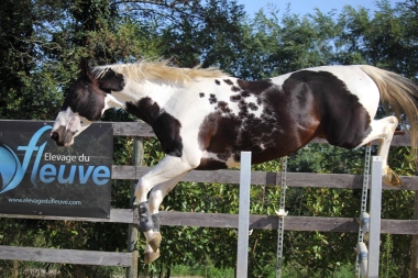 <b>H&eacute;lios, 4 ans, octobre 2021</b>                                                