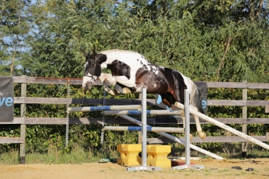 <b>H&eacute;lios, 4 ans, octobre 2021</b>                      