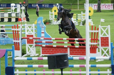 Angelo de Pl&eacute;ville par Sandro Boy CIR Compi&egrave;gne 4 ans.
