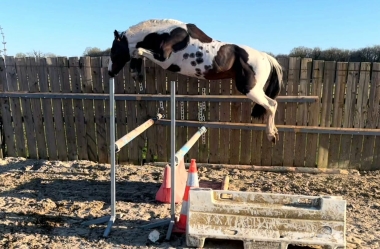 <b>James Bond &agrave; 4 ans, 2023</b>     