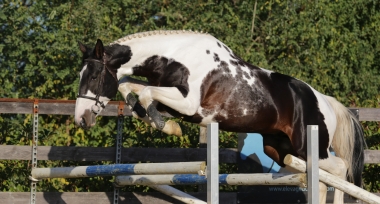 <b>H&eacute;lios, 4 ans, octobre 2021</b>                      