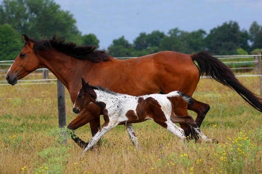 Vision 2009, naissance &agrave; 3 semaines