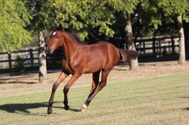 Diorella &agrave; 4 mois