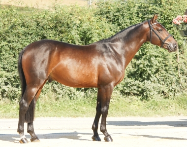 Superlover depleville