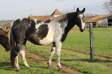 Vision D&eacute;cembre 2015 et en 2016