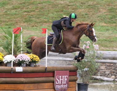 <b>Eureka de Brenne finaliste &agrave; 6ans</b>                          Photo I Joy