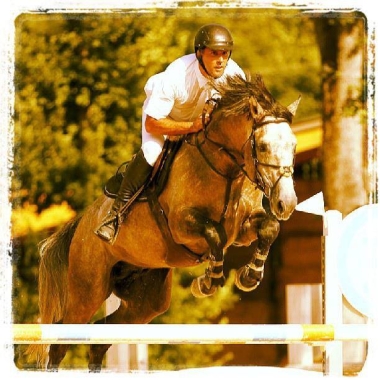 Safran des For&ecirc;ts SF