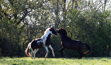 <b>H&eacute;lios, 3 ans, avril 2020</b>                                                     