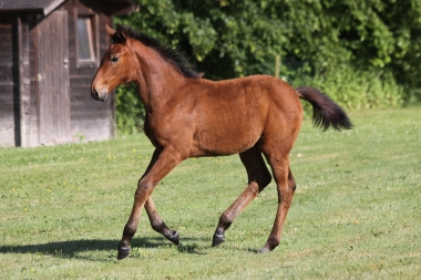 Evita &agrave; 3 mois