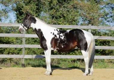 <b>H&eacute;lios, 4 ans, octobre 2021</b>                              