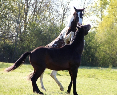 <b>H&eacute;lios, 3 ans, avril 2020</b>                                                     