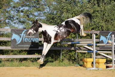 <b>H&eacute;lios, 4 ans, octobre 2021</b>                      